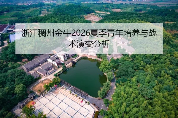 浙江稠州金牛2026夏季青年培养与战术演变分析